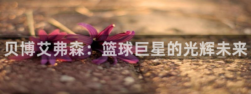 今年会ccm麻将胡了：贝博艾弗森：篮球巨星的光辉未来