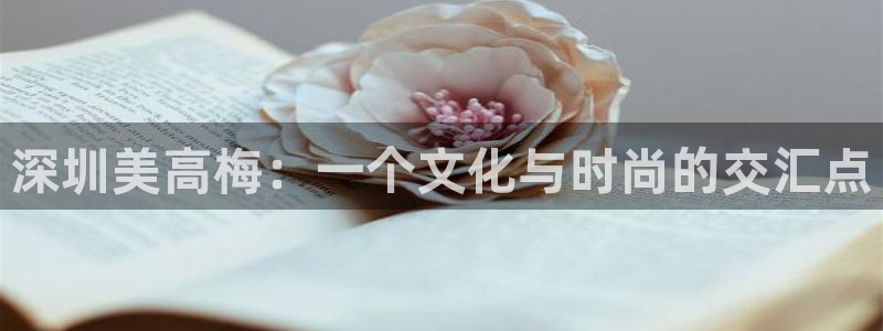 今年会网站下载登录：深圳美高梅：一个文化与时尚的交汇点