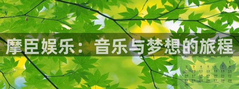 今年会平台官方入口：摩臣娱乐：音乐与梦想的旅程