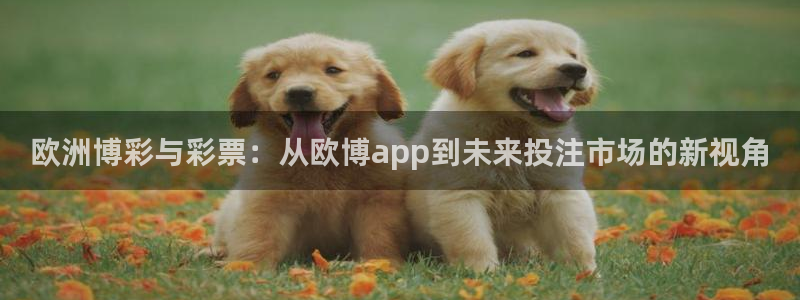 今年会是暖冬吗：欧洲博彩与彩票：从欧博app到未来投注市场的新视角