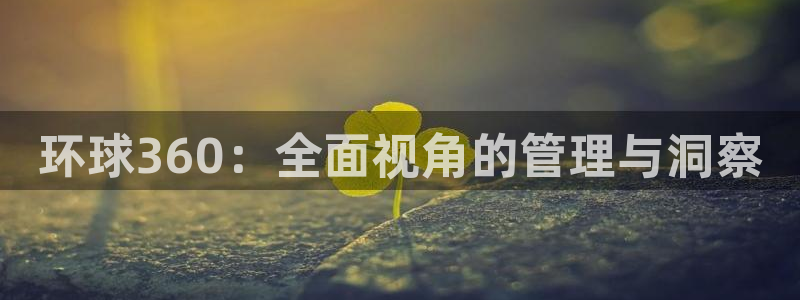 今年会app下载：环球360：全面视角的管理与洞察