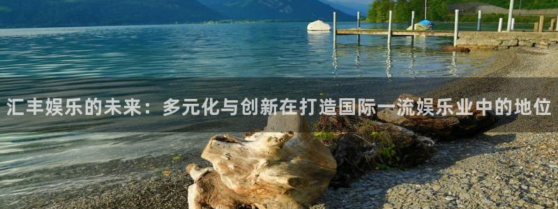 今年会很热：汇丰娱乐的未来：多元化与创新在打造国际一流娱乐业中的地位