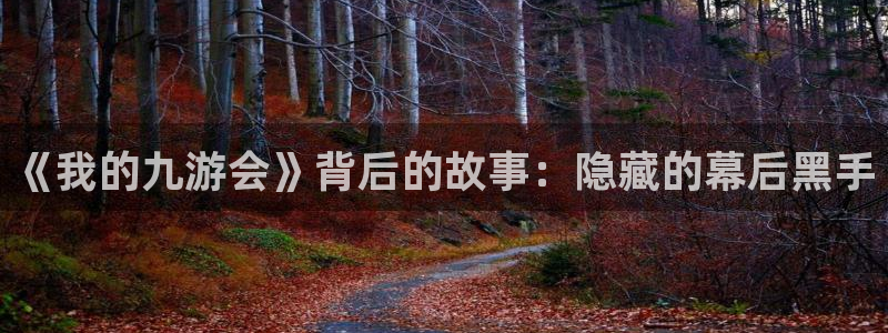 属蛇今年会结婚吗：《我的九游会》背后的故事：隐藏的幕后黑手