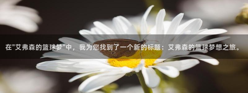 星瑞今年会出新款吗：在\