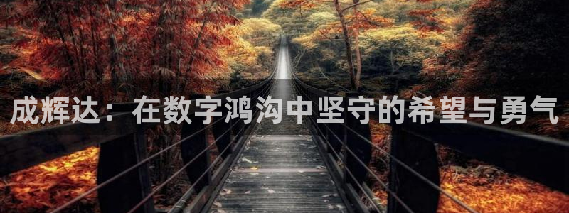 75年出生的兔在今年会怎么样：成辉达：在数字鸿沟中坚守的希望与勇气