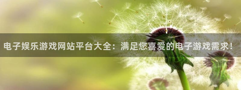 今年会下大雪：电子娱乐游戏网站平台大全：满足您喜爱的电子游戏需求！