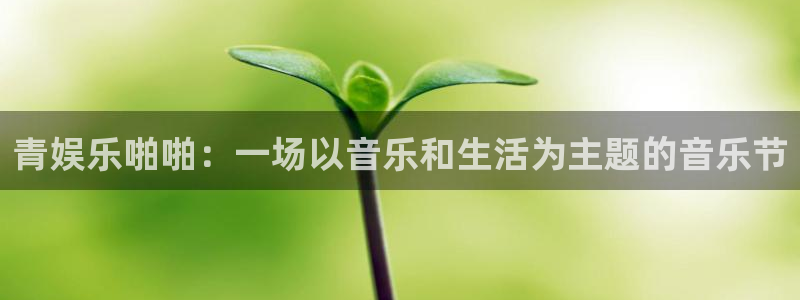 今年会-ng大舞台,有梦你就来：青娱乐啪啪：一场以音乐和生活为主题的音乐节