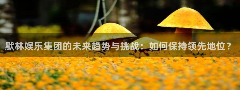 属猪的今年会发财吗：默林娱乐集团的未来趋势与挑战：如何保持领先地位？
