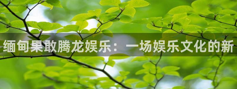 今年会有台风吗：缅甸果敢腾龙娱乐：一场娱乐文化的新