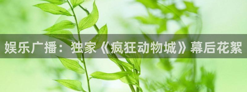 今年会游戏官网平台入口