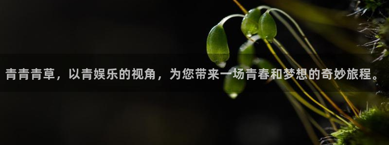 89年蛇今年会怎么样