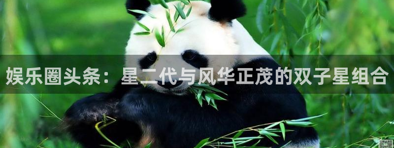 壹号大舞台官网入口