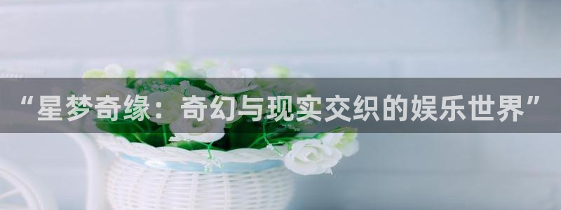 今年会app最新版怎么下载苹果