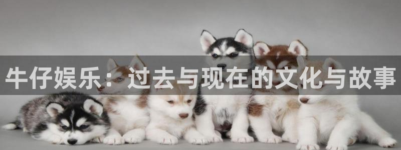 今年会离婚吗