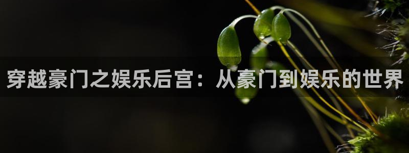 今年会ccmpc