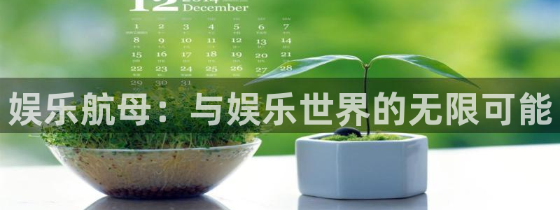 今年会是什么