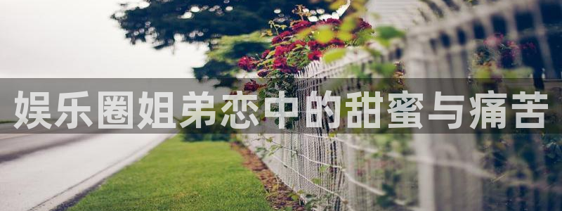 1980年属猴今年会离婚吗