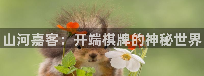 苹果今年会出新的手表吗