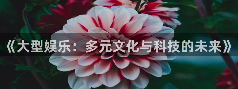 龙女今年会离婚吗