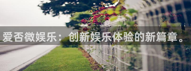 今年会是什么