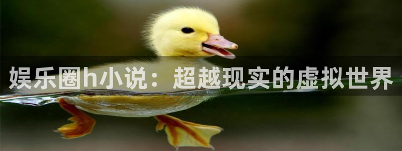 属狗的考试今年会过吗