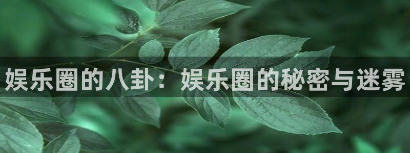 中国股市今年会涨起来吗