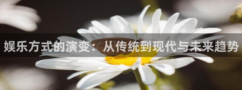 74年属虎女今年会离婚吗