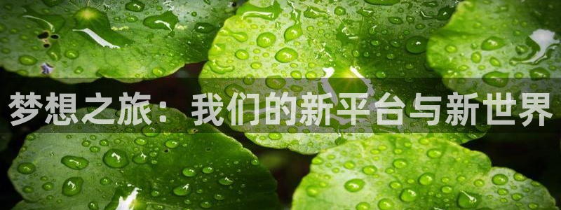 壹号平台下载安装官网