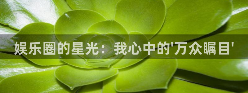 今年会有丧尸爆发吗