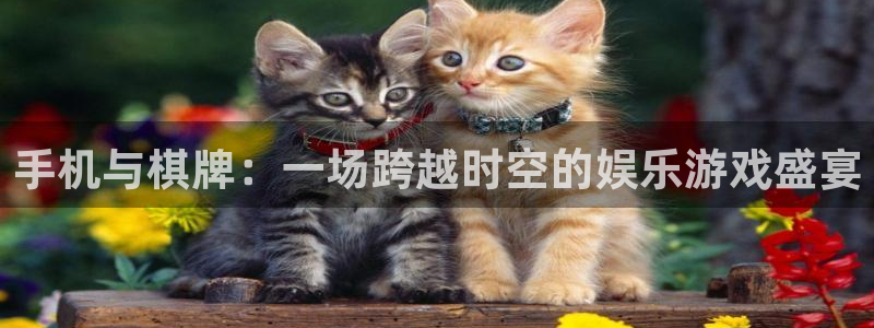 算命的说我今年会戴孝：手机与棋牌：一场跨越时空的娱乐游戏盛宴