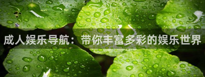 电子游戏今年会：成人娱乐导航：带你丰富多彩的娱乐世界