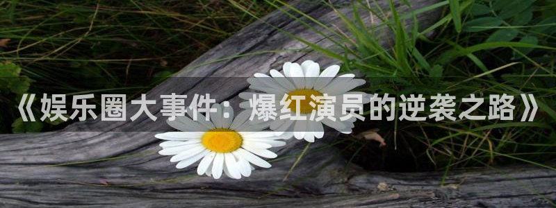 黄金今年会下跌吗：《娱乐圈大事件：爆红演员的逆袭之路》