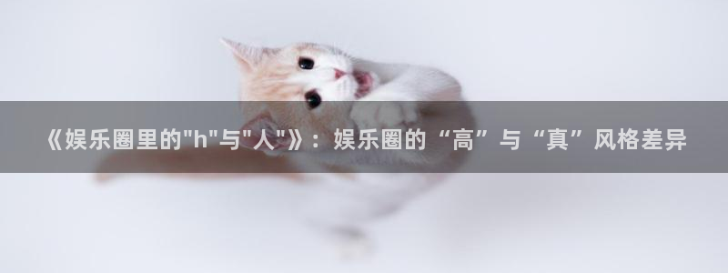 壹号电子娱乐app下载最新版本安装：《娱乐圈里的\