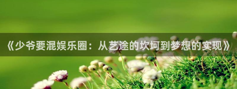 47年的猪今年会死吗：《少爷要混娱乐圈：从艺途的坎坷到梦想的实现》