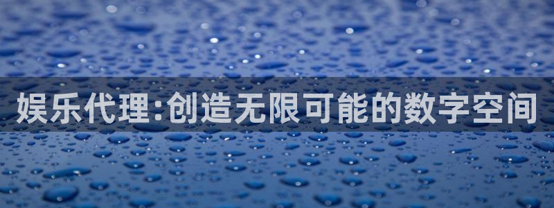 属鼠人今年会动大孝吗：娱乐代理:创造无限可能的数字空间
