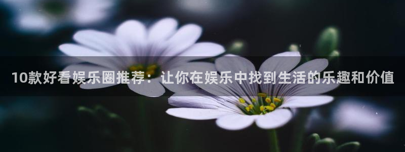 今年会官网：10款好看娱乐圈推荐：让你在娱乐中找到生活的乐趣和价值