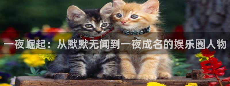壹号大舞台入口：一夜崛起：从默默无闻到一夜成名的娱乐圈人物