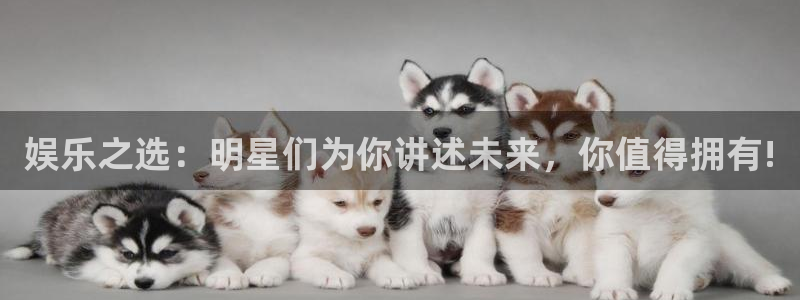 壹号大舞台娱乐app下载安装：娱乐之选：明星们为你讲述未来，你值得拥有!