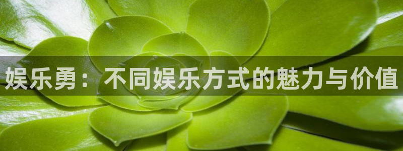 壹号玩家app下载：娱乐勇：不同娱乐方式的魅力与价值