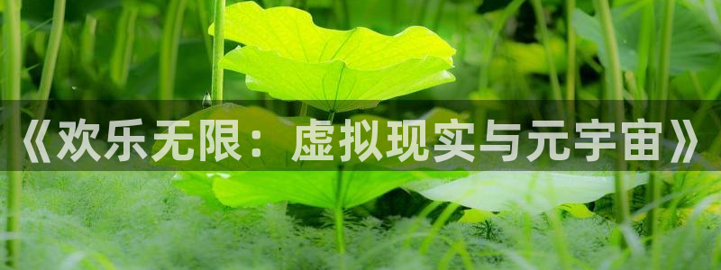 壹号大舞台娱乐app下载安装：《欢乐无限：虚拟现实与元宇宙》